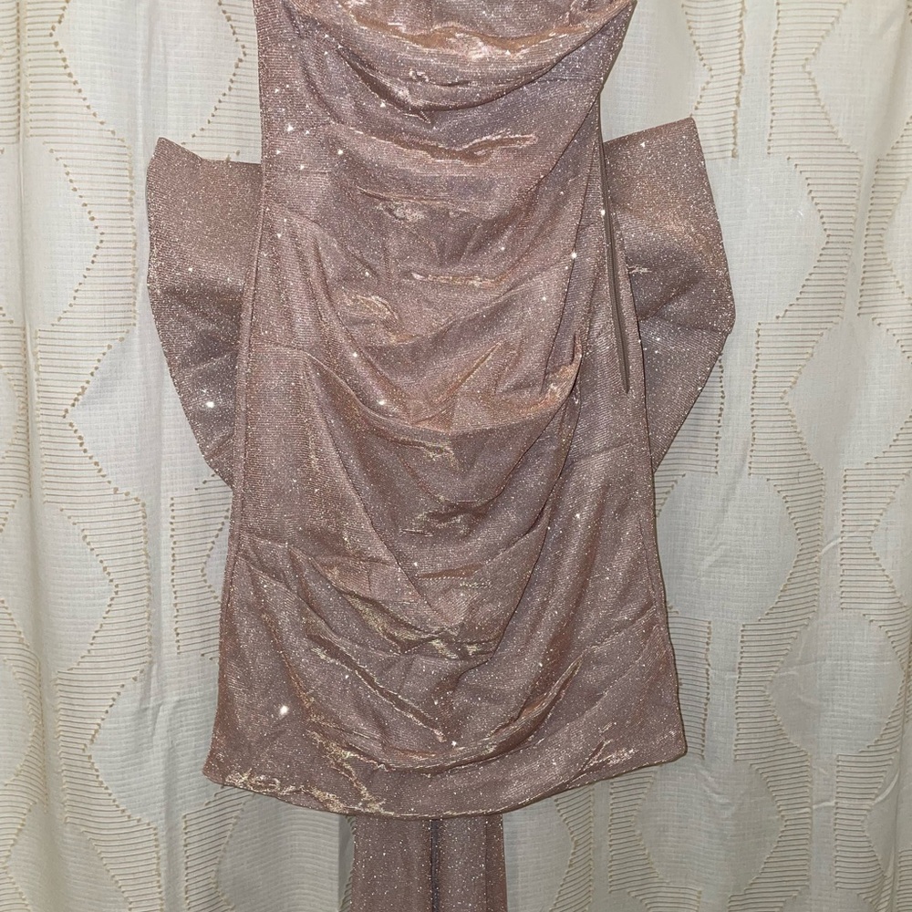 Windsor Glittering Champagne Dress